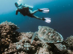 doing scuba diving with the magnificent creatures of marine life