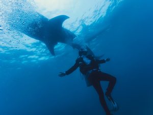 The danger of marine life
