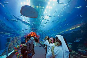 Different experiences at Dubai Aquarium