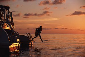 Diving at night