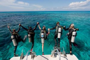What is the Dive Buddy System?