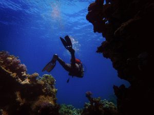 Types of diving