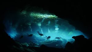 reasons to obey the dive buddy system