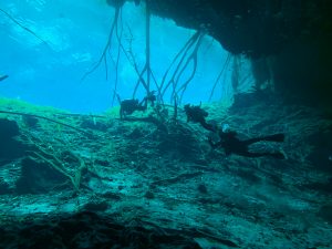 what is cave diving?