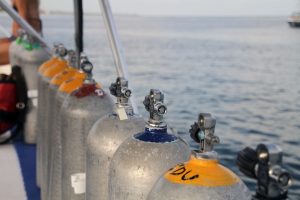 Oxygen toxicity as a type of a gas toxicity