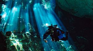 Scuba diving training agencies