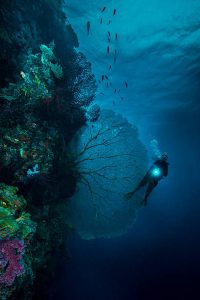 How far can you dive?