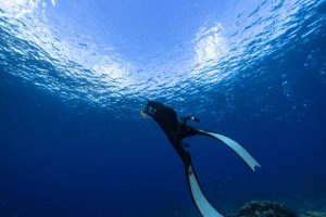 Freediving courses