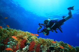Underwater photography