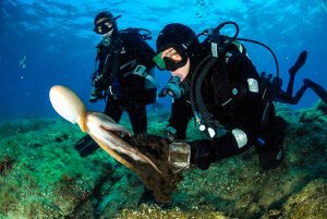 Why do you need dive computers?