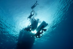 A group of scuba divers