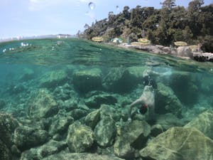Dive sites for freediving in italy