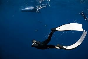 A freediver enjoy diving in the depths