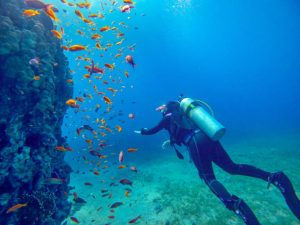 Things you should know about dry suit diving