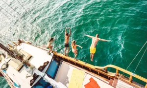 Marine tourism