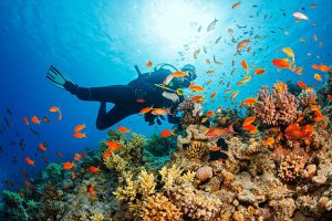 The three main types of coral reefs