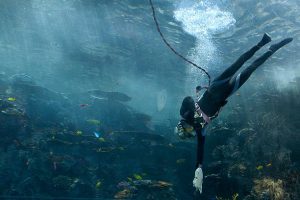 A scuba diver removing trash from the sea